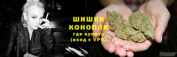 трава Беломорск