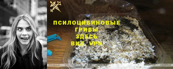 трава Беломорск